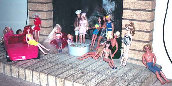 my chimney at Ramblewood, Ft. Collins, Colorado 2000